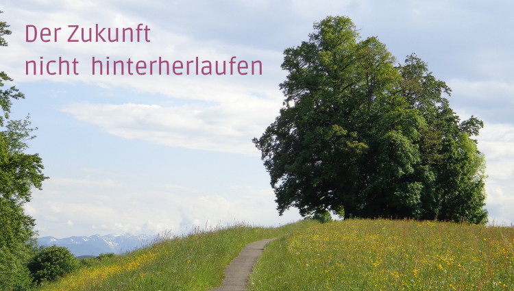 Schmaler Weg durch eine Wiese mit einem einzelnen Baum und Text "Der Zukunft nicht hinterherlaufen"